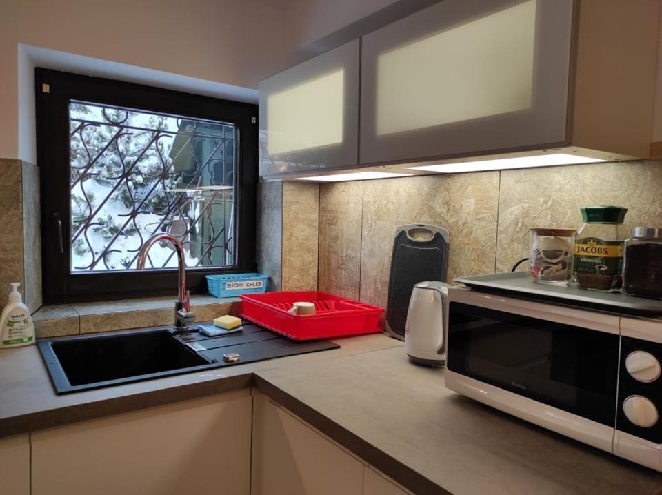 Arnika Wynajem Pokoi Appartement Zakopane Buitenkant foto