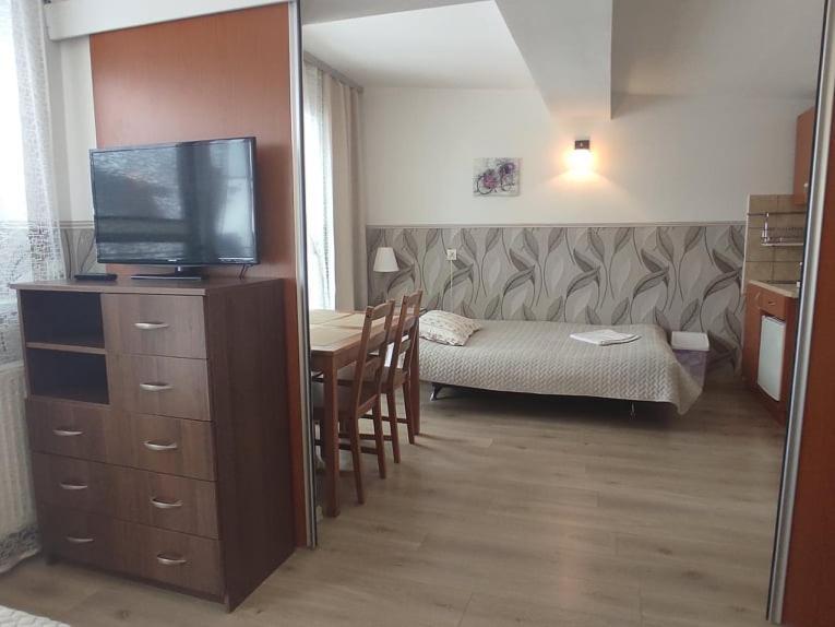 Arnika Wynajem Pokoi Appartement Zakopane Buitenkant foto