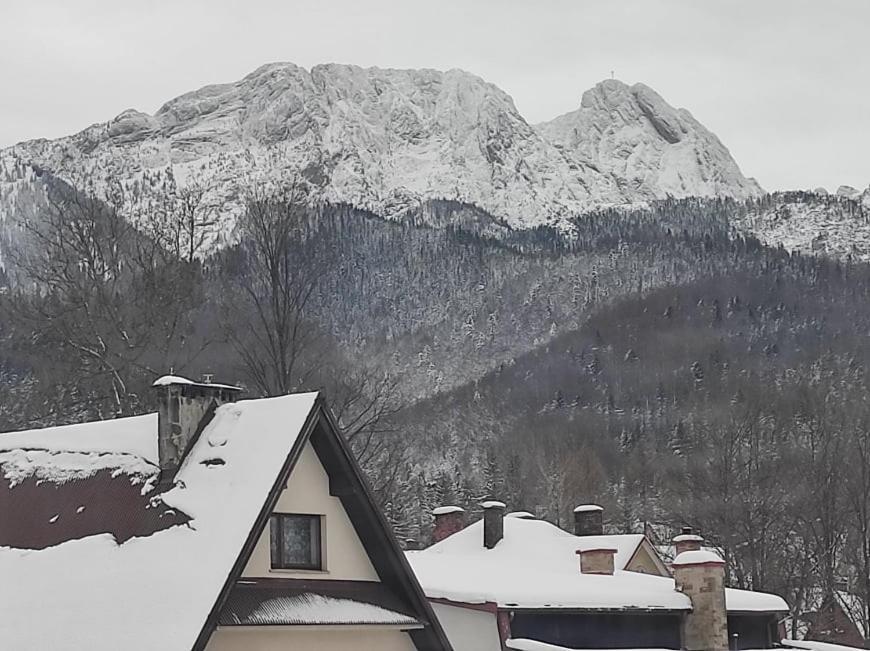 Arnika Wynajem Pokoi Appartement Zakopane Buitenkant foto