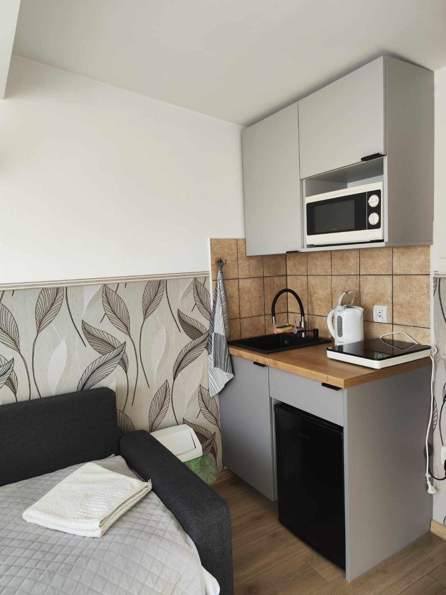 Arnika Wynajem Pokoi Appartement Zakopane Buitenkant foto