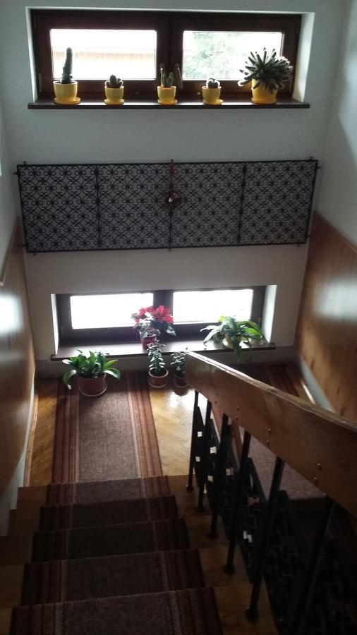 Arnika Wynajem Pokoi Appartement Zakopane Buitenkant foto