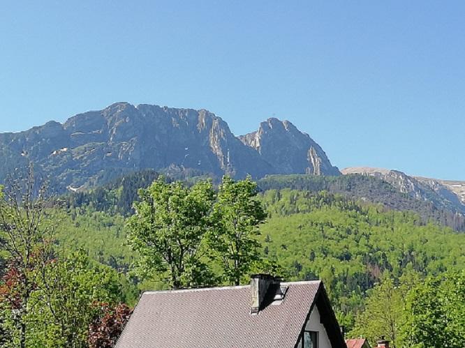 Arnika Wynajem Pokoi Appartement Zakopane Buitenkant foto