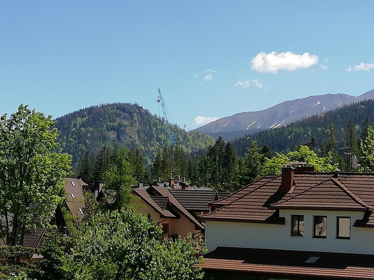 Arnika Wynajem Pokoi Appartement Zakopane Buitenkant foto
